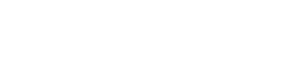 RYCHIP